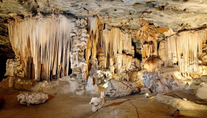 gallery-image