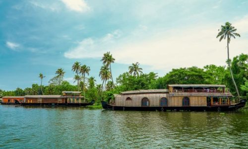 Backwater Alappuzha, Kerala