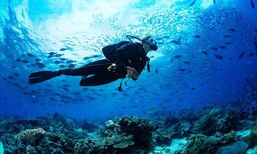 Havelock Scuba