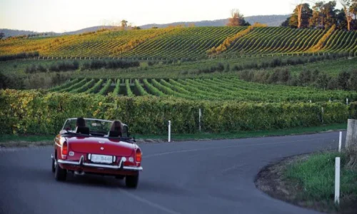 Wine Tour 1